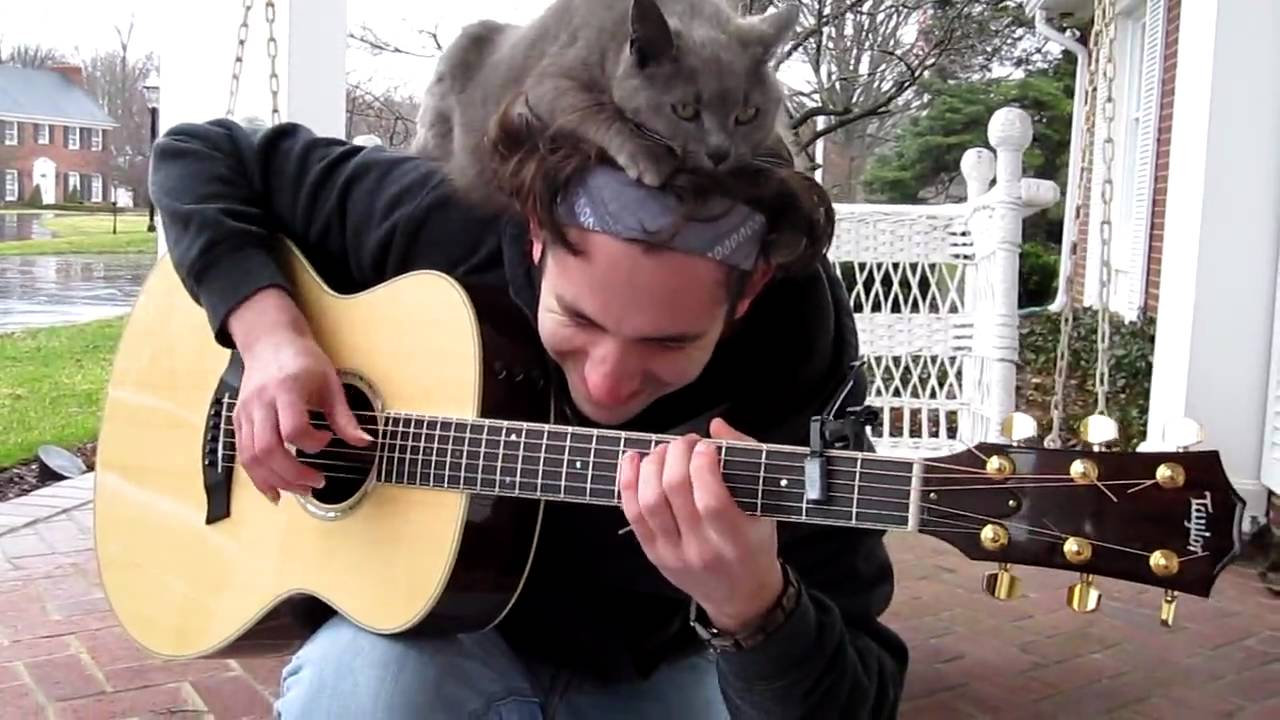 世界一ネコに好かれるアコギリスト！？