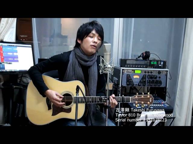 米米CLUB 浪漫飛行 Taylor 810 ハカランダ テイラー