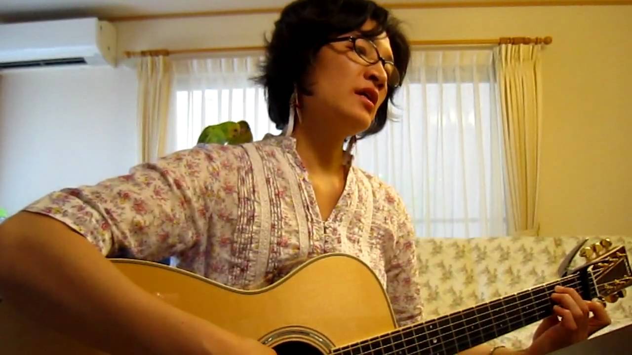 インコと一緒 ビートルズ Yesterday